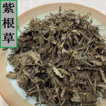 紫根草紫草紫根草各种规格关公须新货无硫