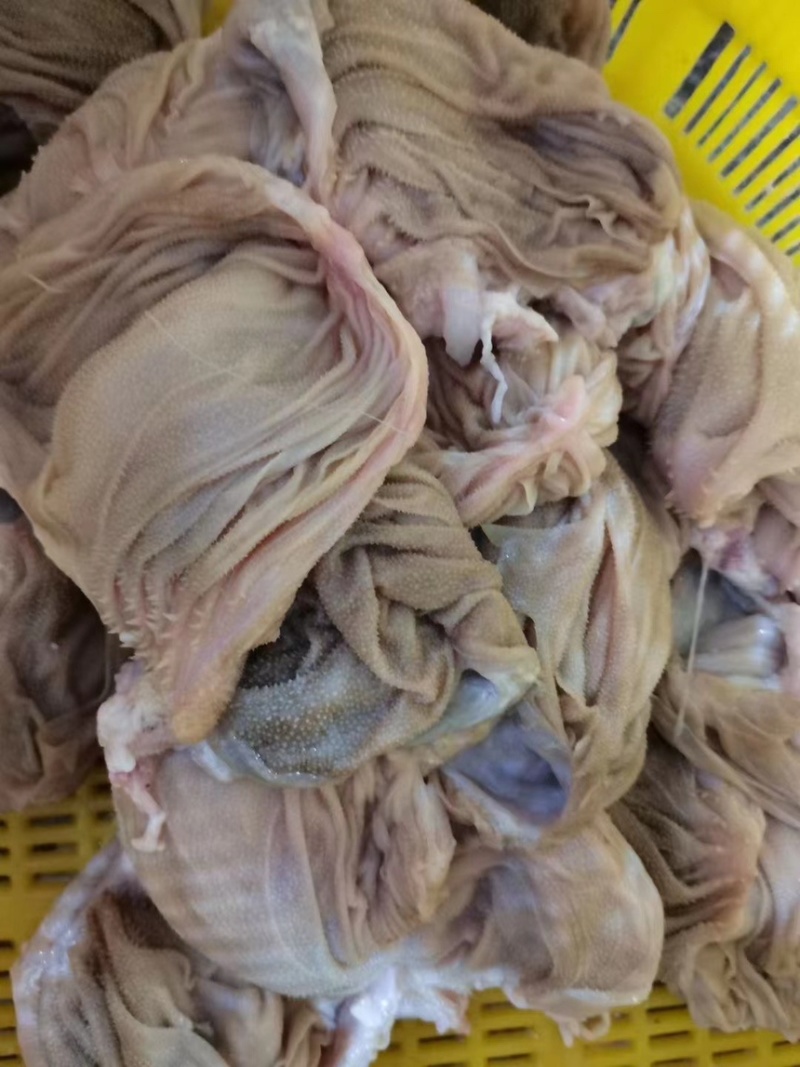 羊百叶【火锅店必备】新鲜速冻装箱，涮锅拌炒干锅均可