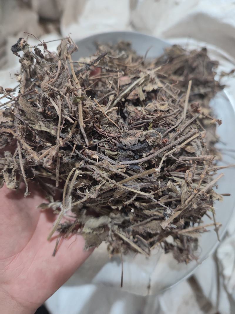 紫根草紫草紫根草各种规格关公须新货无硫