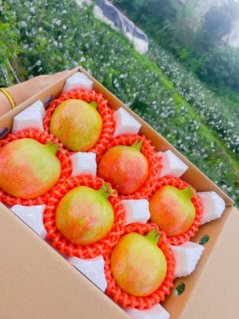 突尼斯软籽石榴，超市市场，社团，电商，落地配完整供应链。