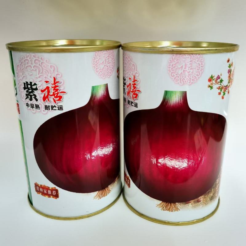 四季紫皮洋葱种子特大红皮圆葱盆栽阳台高产早熟耐寒易种蔬菜