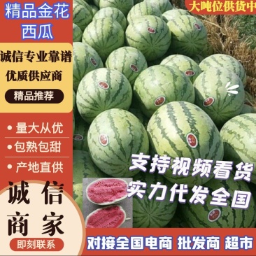 【推荐】内蒙西瓜，金花西瓜大量上市皮毛亮包熟包甜