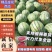 【推荐】内蒙西瓜，金花西瓜大量上市皮毛亮包熟包甜