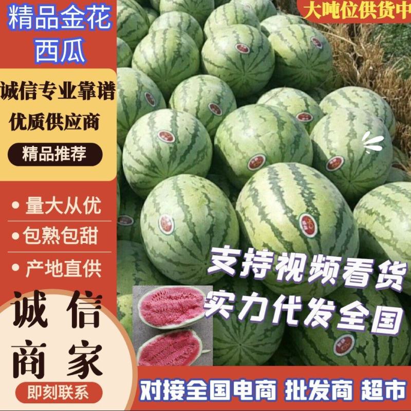 【推荐】内蒙西瓜，金花西瓜大量上市皮毛亮包熟包甜