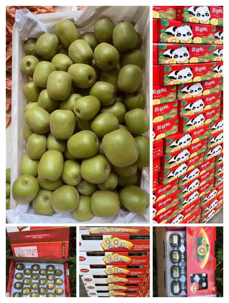 【视频看货】红心猕猴桃成都基地自产自销鲜果现发来电优惠