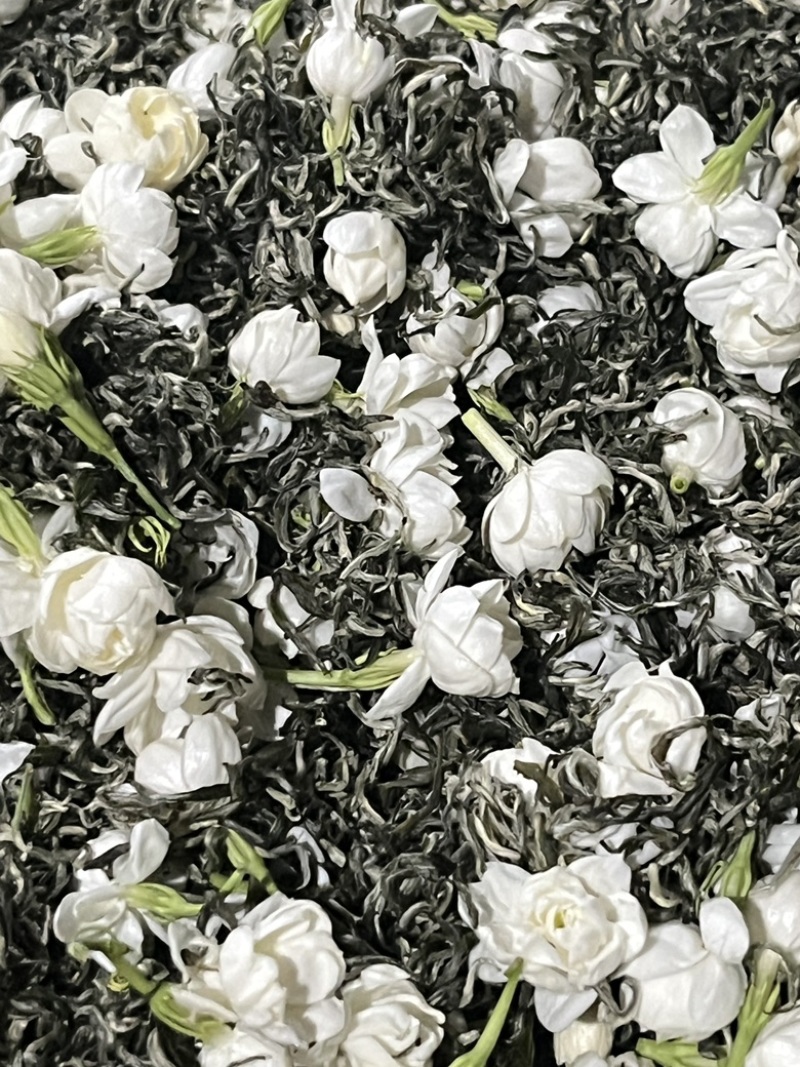 茉莉花茶