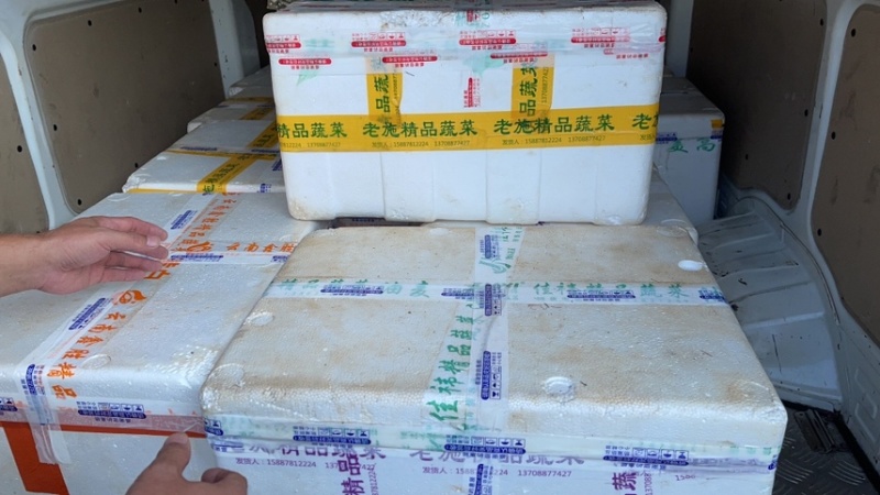 精品水果莲蓬，场地代办一件代发量大从优欢迎选购