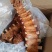【卤味】全熟卤寸排(肉类品源头工厂,一手货源量大从优)