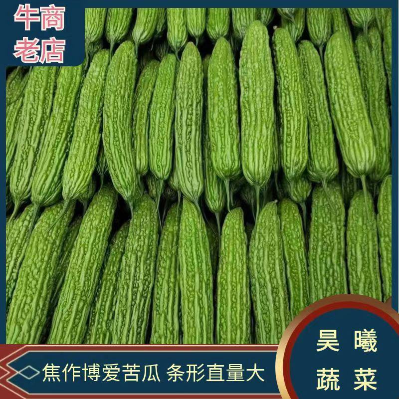 河南苦瓜油绿苦瓜焦作苦瓜博爱苦瓜产地直发量大