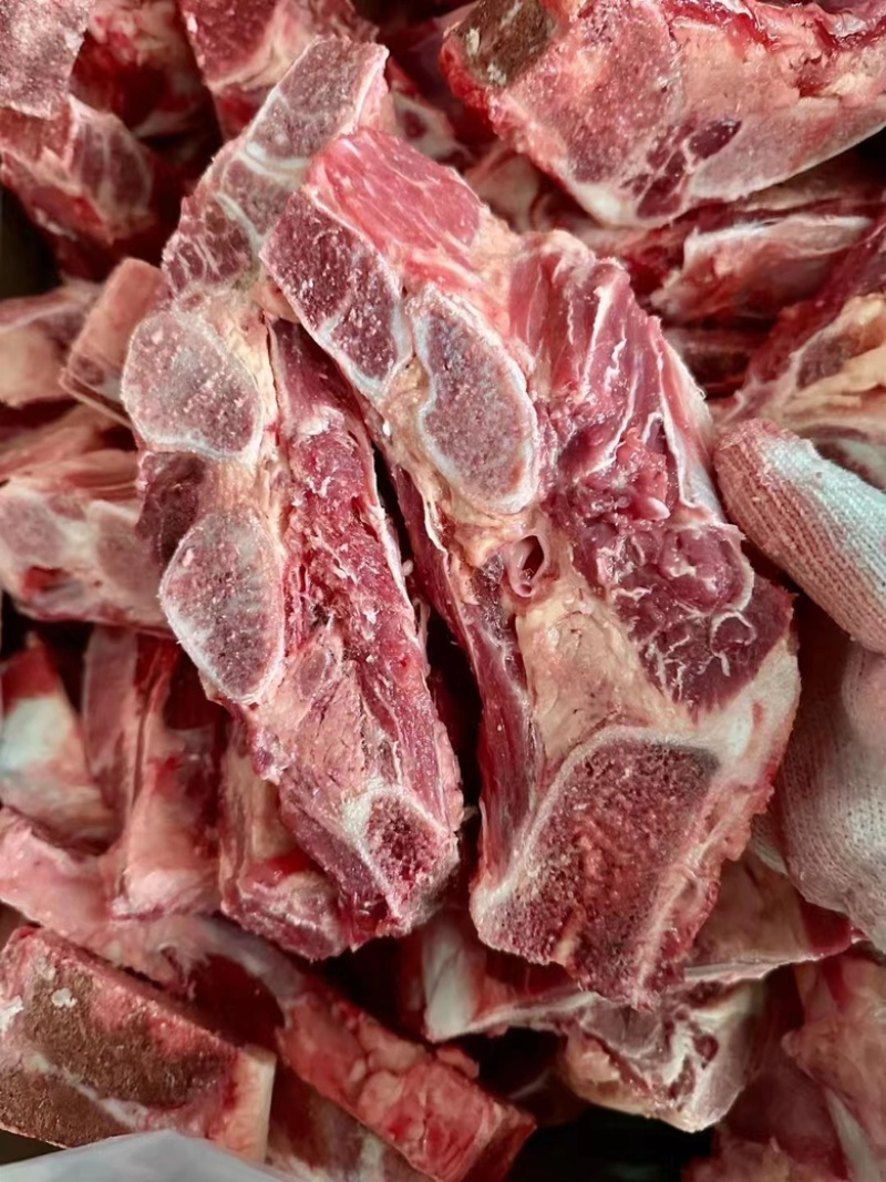 清真纯牛排，牛肉，牛肉筋，牛下水，牛蝎子货发全国
