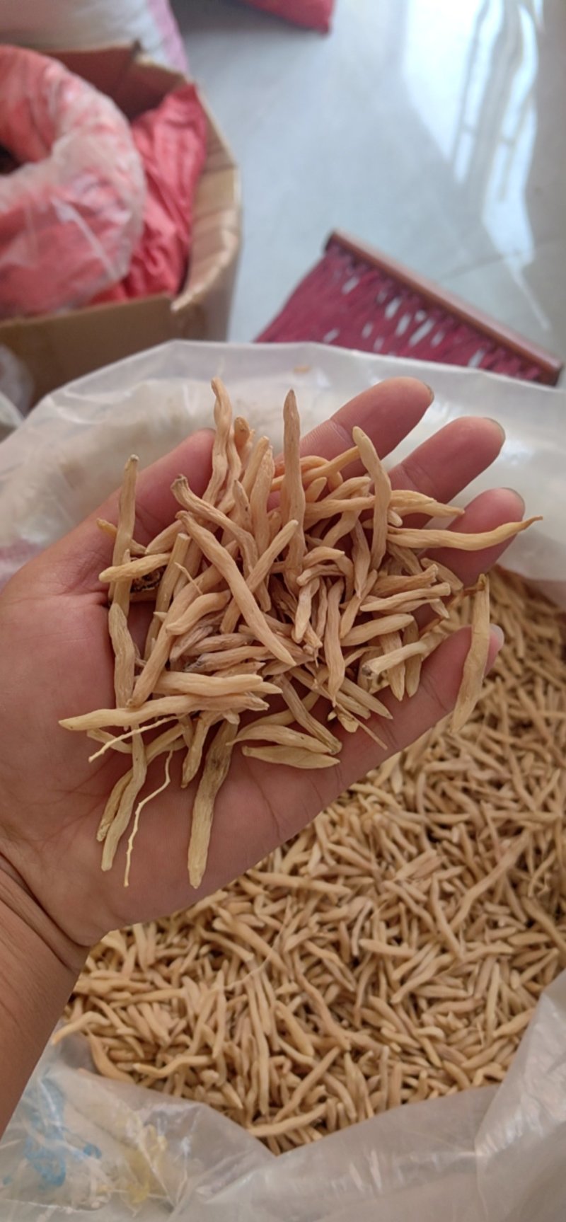 麦冬山东无硫麦冬鲁舜泽中药材商行全国发货
