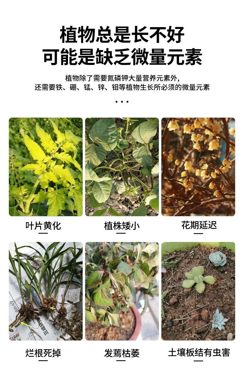 大量元素-平衡肥