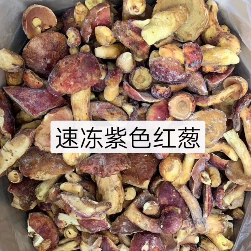 云南冰冻水红葱菌产地货源大量批发