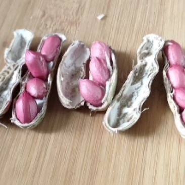 四粒红花生