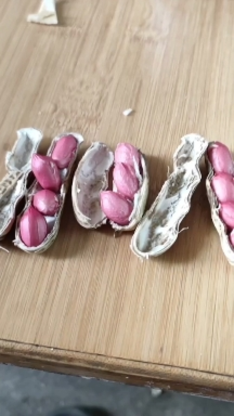 四粒红花生