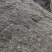 云南产地直发育苗基质专业的育苗基质针对蔬菜茄果育苗栽培