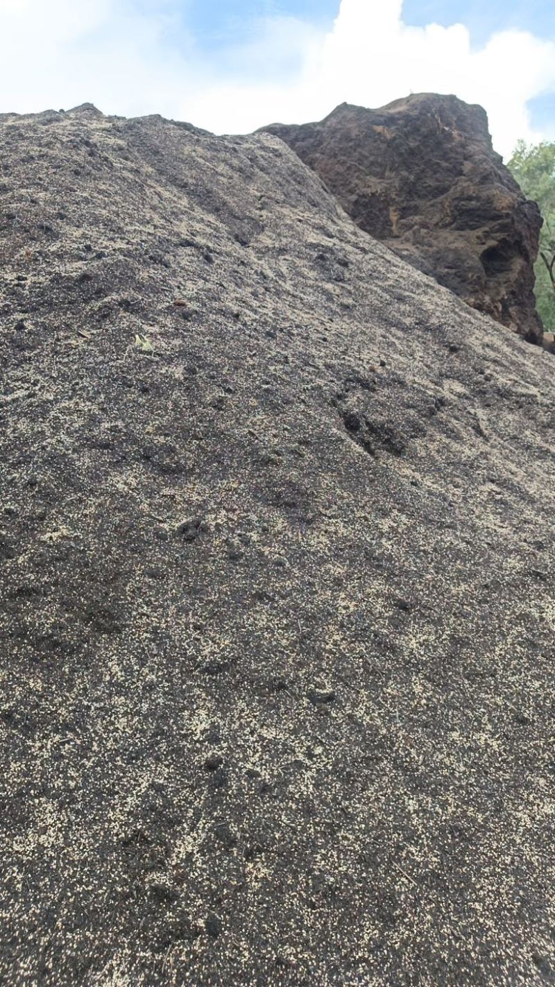 云南产地直发育苗基质专业的育苗基质针对蔬菜茄果育苗栽培