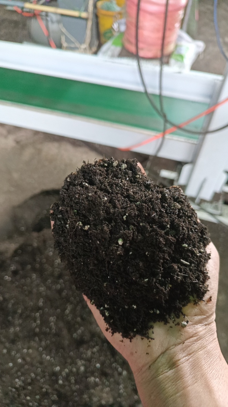 云南产地直发育苗基质专业的育苗基质针对蔬菜茄果育苗栽培