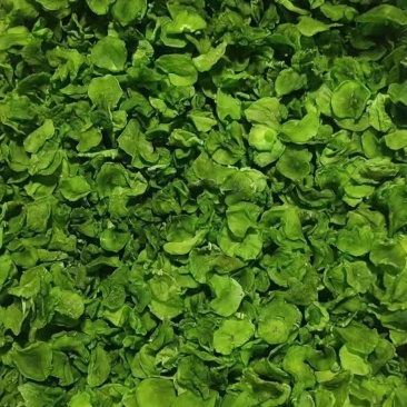 精品-莴笋片-一手货源量大从优-可炒肉可涮火锅
