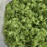 精品-莴笋片-一手货源量大从优-可炒肉可涮火锅