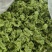 精品-莴笋片-一手货源量大从优-可炒肉可涮火锅