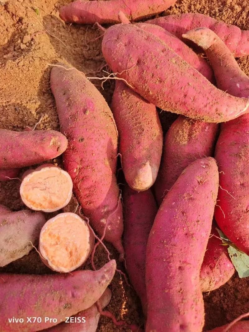 西瓜红红薯河南开封西瓜红承接商超社团电商供货代收代发