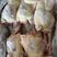 出售带油肺红毛蛋鸡10公斤5.6.7只30吨价格便宜