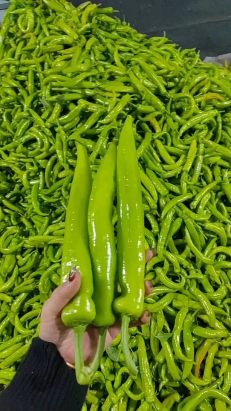 【牛角椒】辽宁鞍山产地大量供应品种齐全欢迎咨询