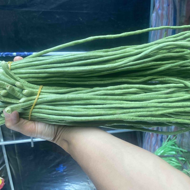 青条豆角大量供应