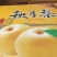 秋月梨万亩基地，大量有现货，糖度高，价格便宜，视频看货