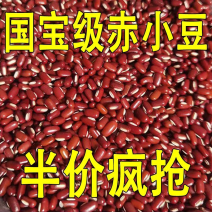 赤小豆粒粒饱满足斤足两现货供应规格齐全代打粉