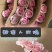 【低价保质】云南昆明，玫瑰花苗，品种齐全，欢迎来电咨询