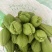来自贵州万亩佛手瓜种植基地鲜嫩佛手瓜及瓜种诚信经营中
