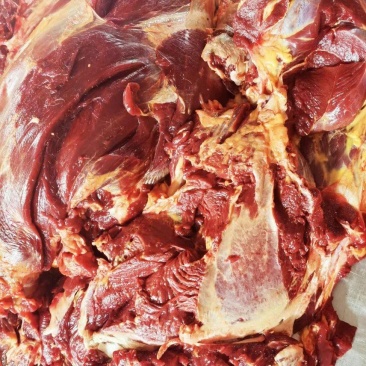 特价马肉便宜出，有量的来谈各种价位各种品质，欢迎联系