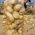 榆林土豆大量上市,黄心土豆2到8两3到8两各种规格国外货