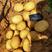 榆林土豆大量上市，2到8两3到8两各种规格国外货
