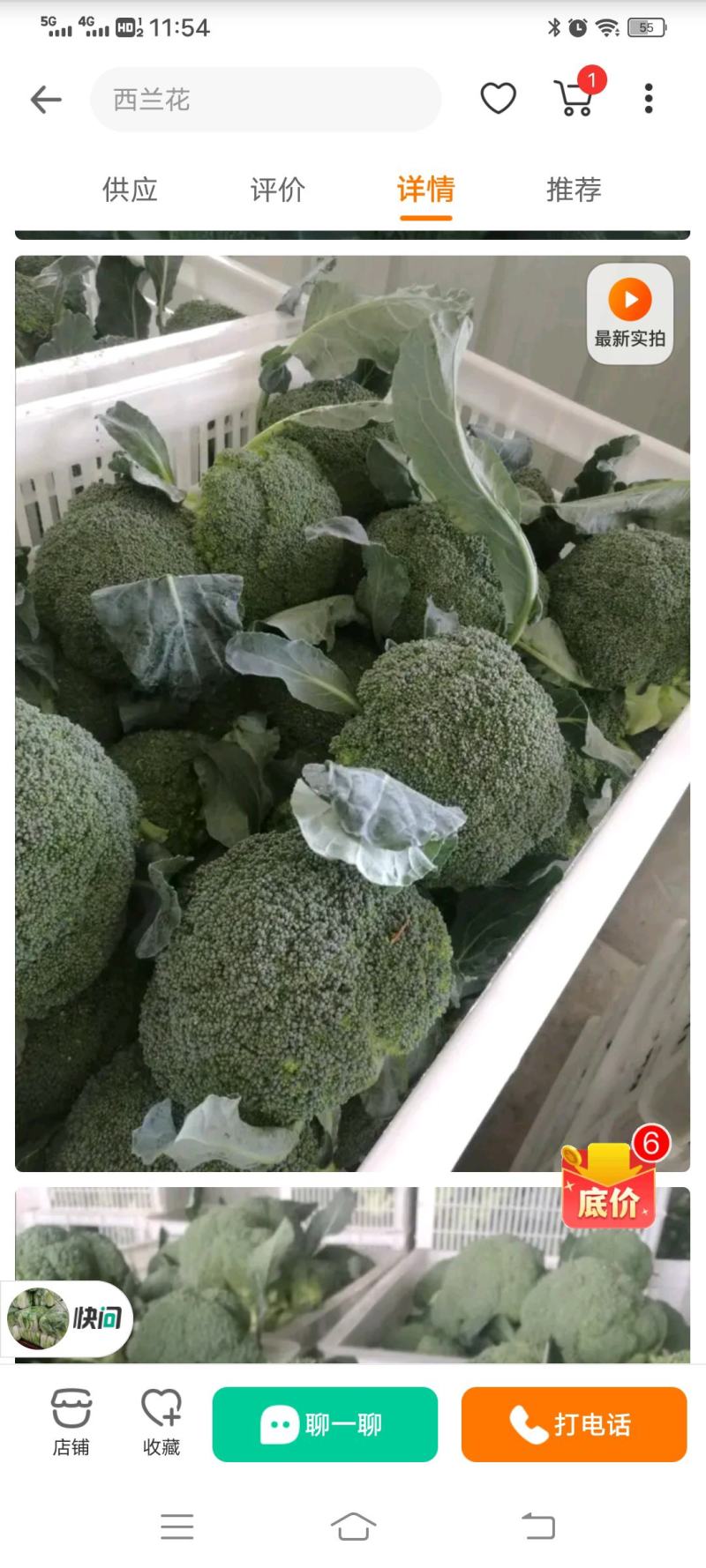 【精选】西兰花苗山东产地诚信服务提供种植技术发货方便