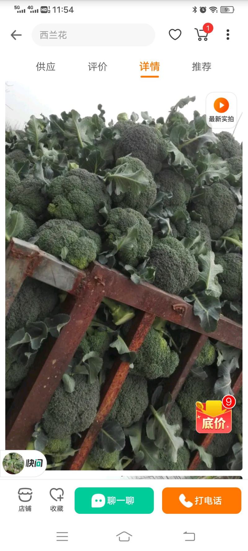 【精选】西兰花苗山东产地诚信服务提供种植技术发货方便