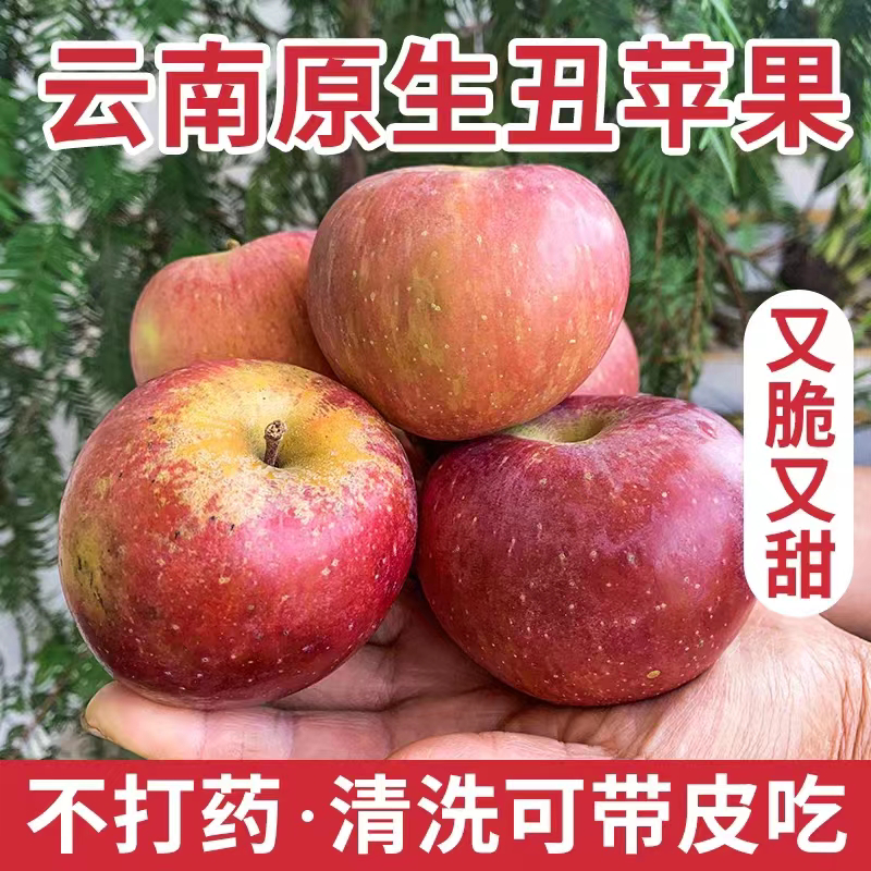 昭通苹果丑苹果冰糖心苹果商超供应电商团购一件代发