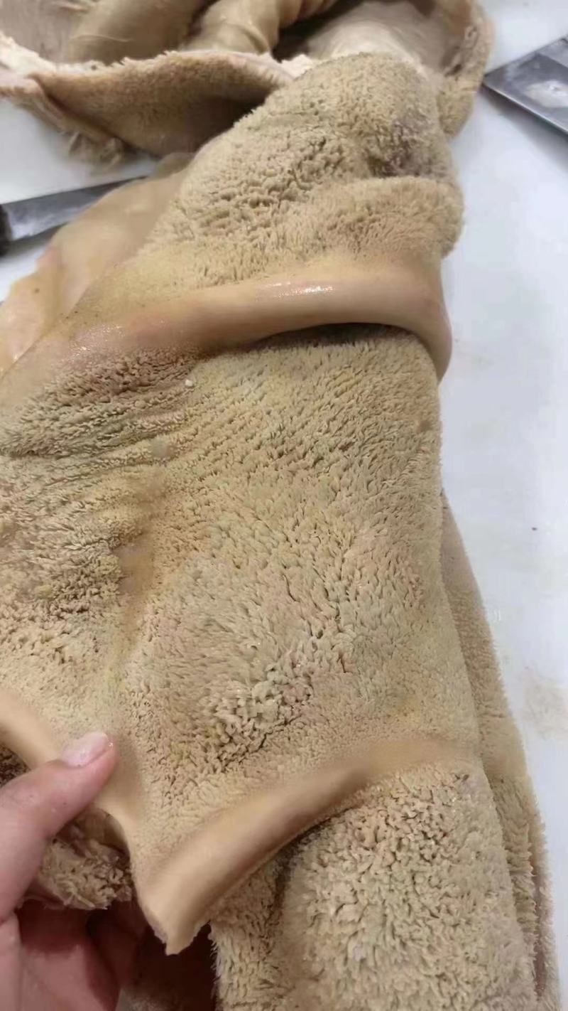 纯干熟牛肚，无油，，一手货源，厂家直销。高质量低价位。