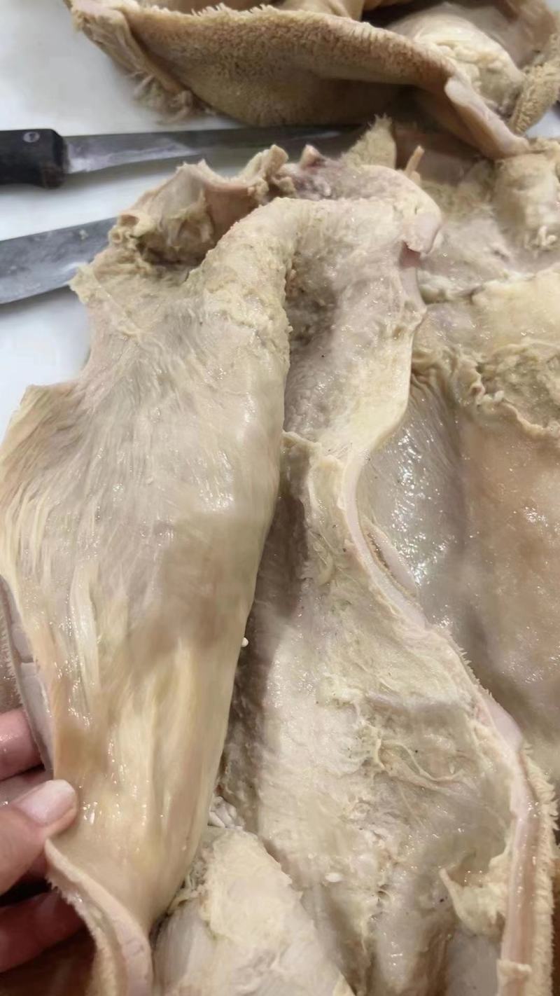纯干熟牛肚，无油，，一手货源，厂家直销。高质量低价位。