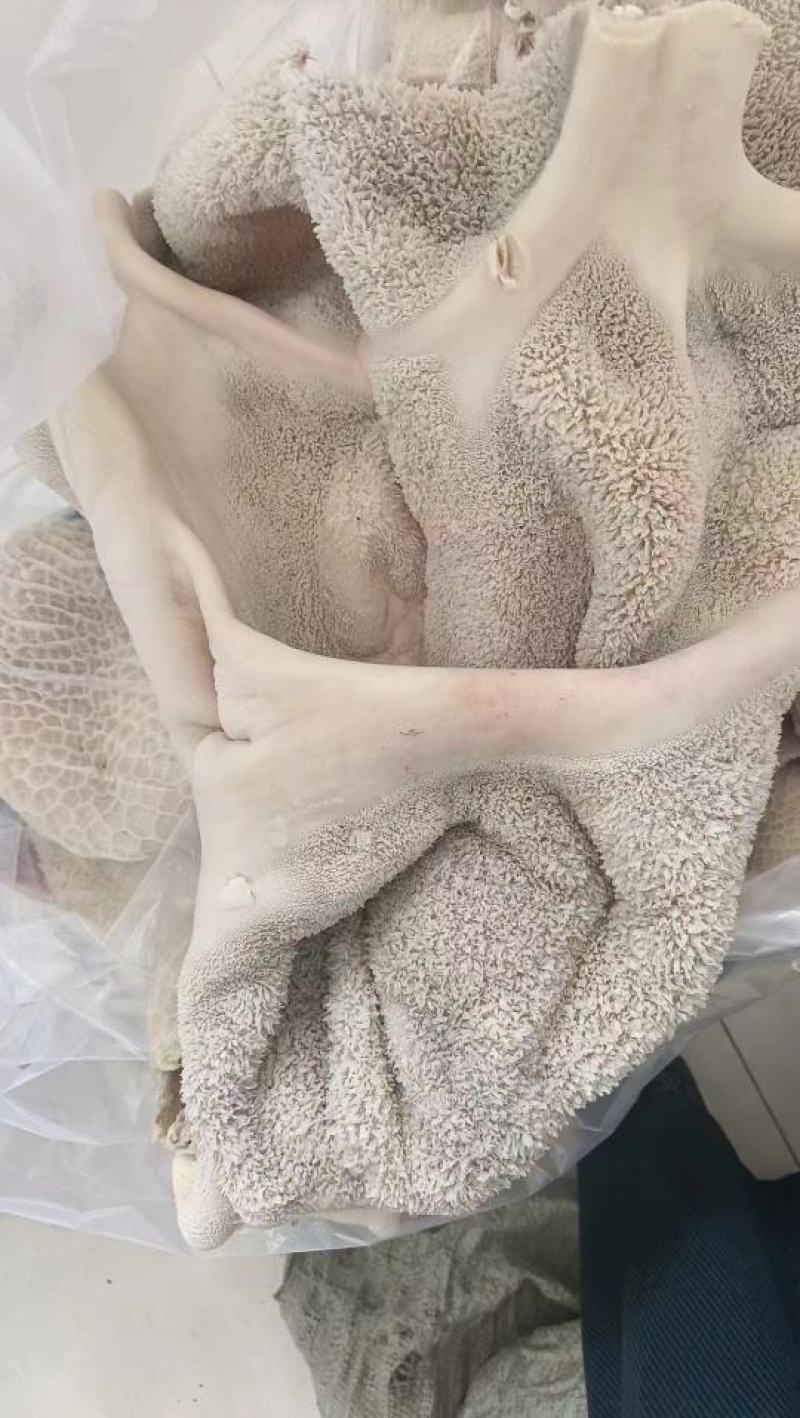 纯干熟牛肚，无油，，一手货源，厂家直销。高质量低价位。