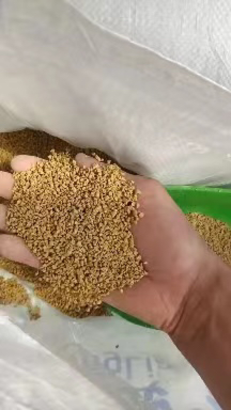 鸡鸭鹅猪牛羊通用颗粒饲料蛋白含量高催肥快