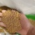鸡鸭鹅猪牛羊通用颗粒饲料蛋白含量高催肥快