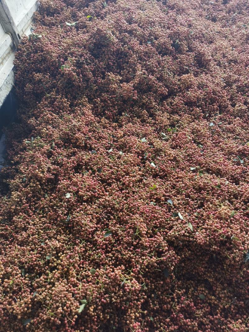 陕西韩城合阳华州鲜花椒（青花椒）次椒，支持各种交易