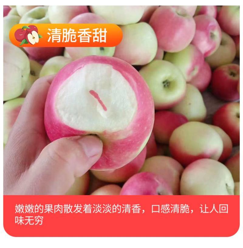 （精品推荐）陕西纸袋嘎啦苹果2023新品上市