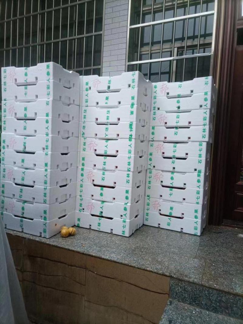 云南人参果大量上市产地直发保质保量新鲜采摘欢迎咨询