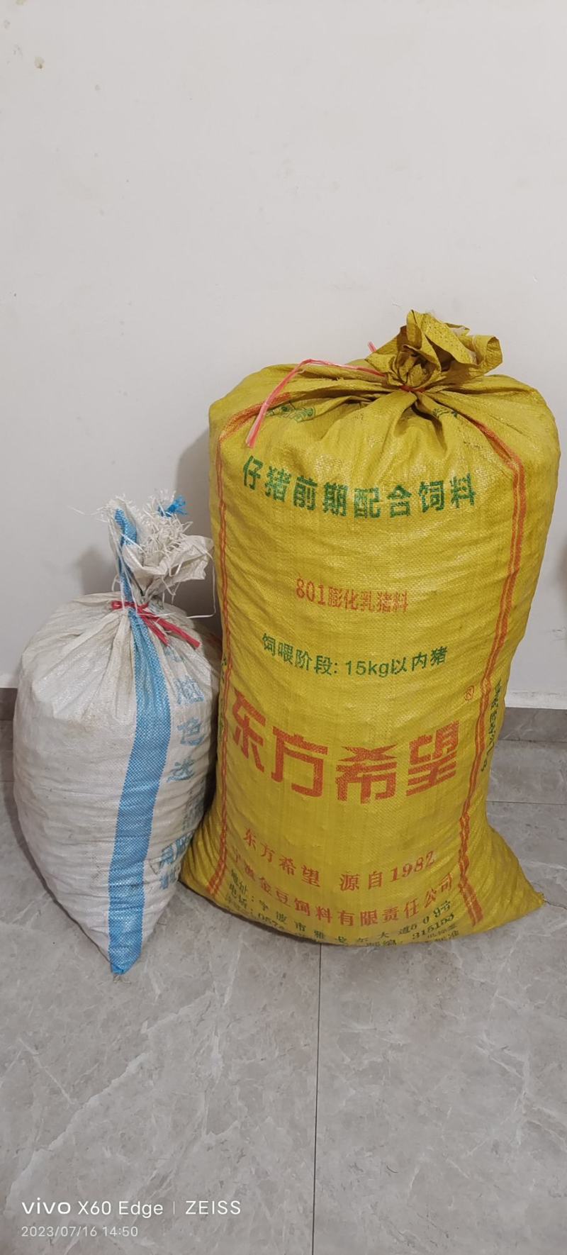 温郁金