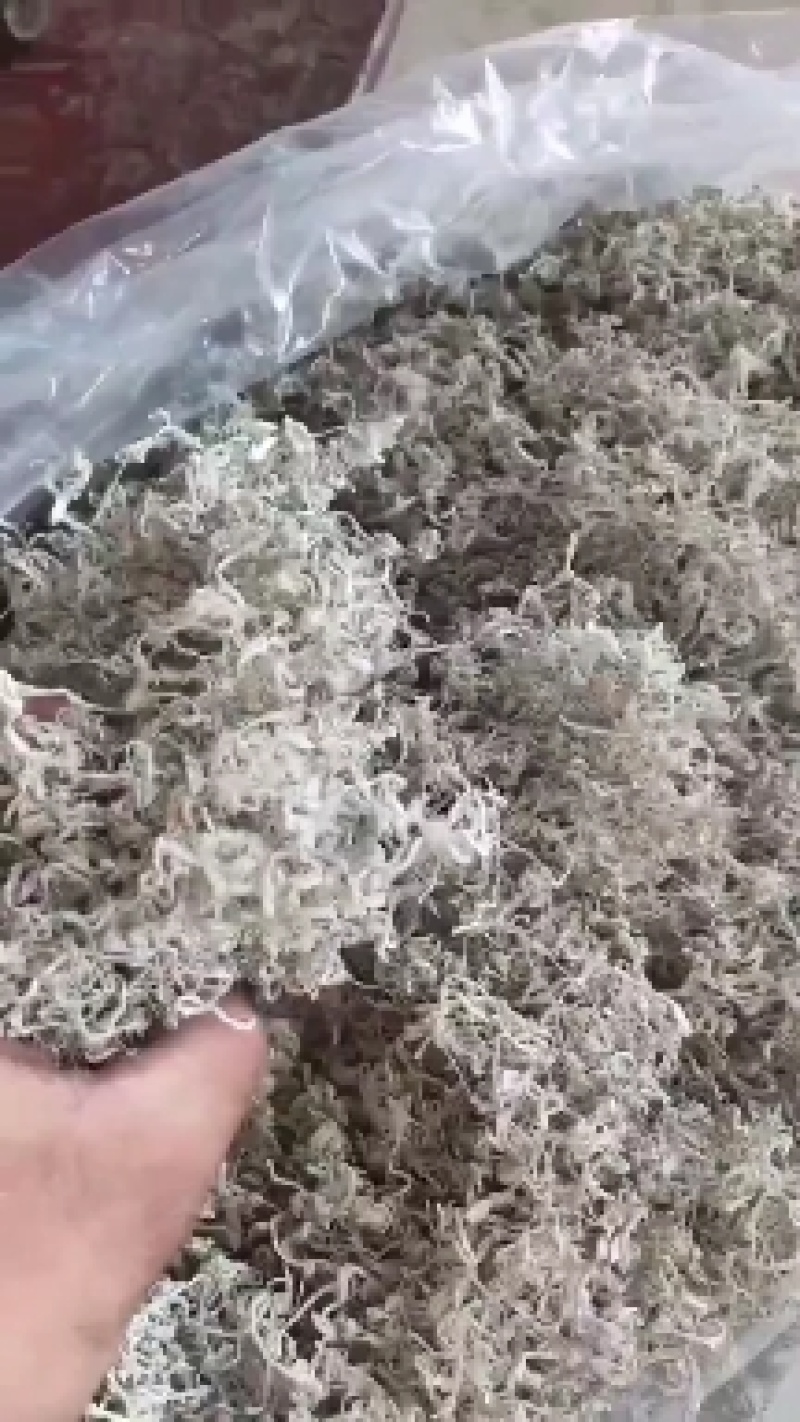 张家界莓茶