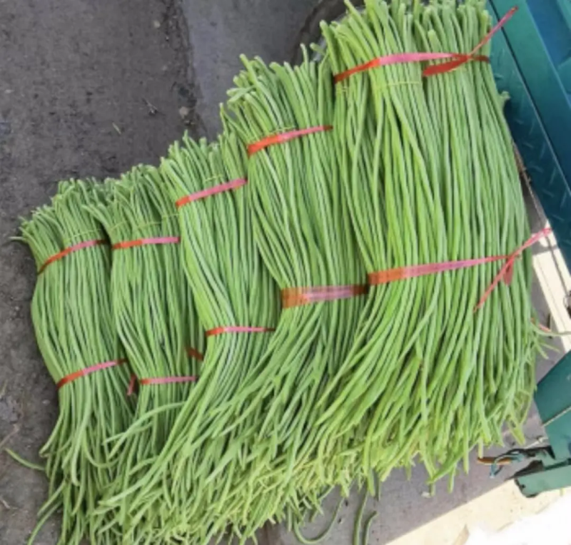 豆角，安徽宿州青条豆角，无虫对接商超电商批发产地直发价格